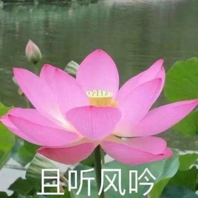 竞彩足球模拟投注下载